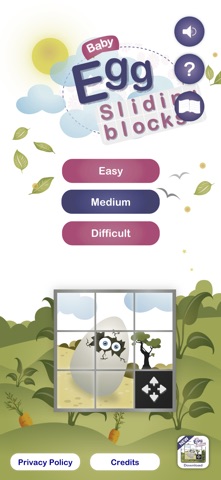 Baby Egg Sliding Blocks Puzzle screenshot