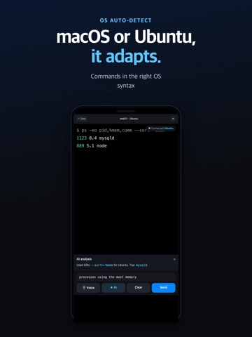 HiTerminal — SSH Voice & AI iPad screenshot