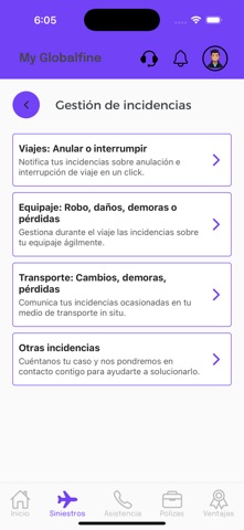 Globalfine screenshot