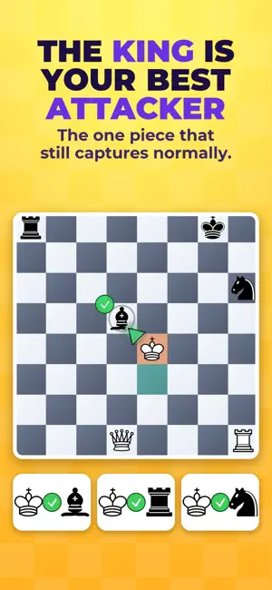 Chess: Same Piece Capture Only screenshot 2