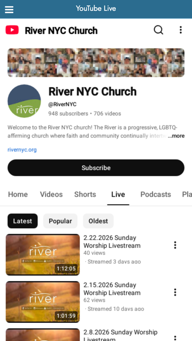 River NYC screenshot