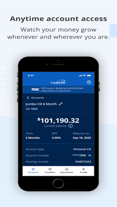 Credit One Bank Deposits Screenshot