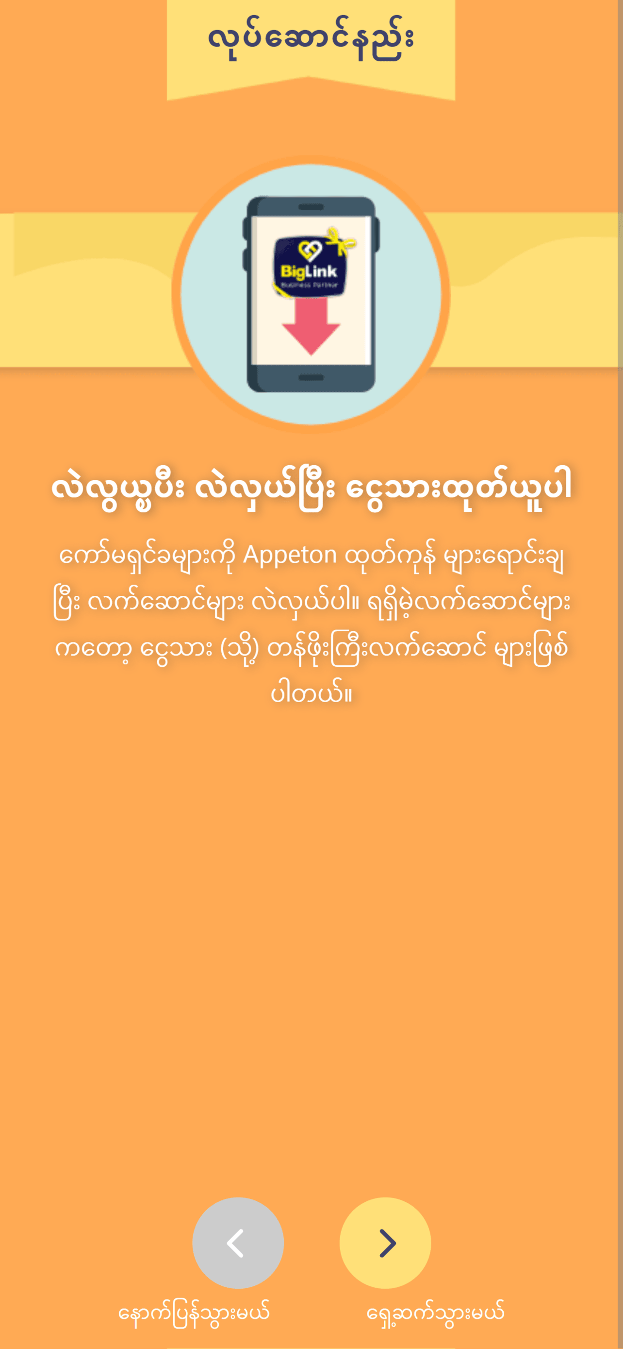 BigLink Trade Myanmar