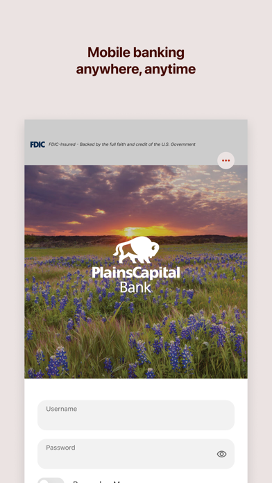 PlainsCapital Mobile Banking Screenshot 1 of 4