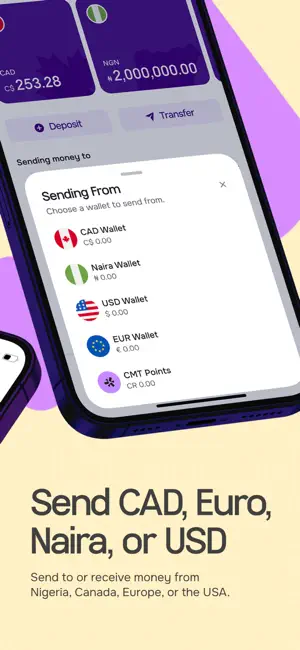CadRemit screenshot 2