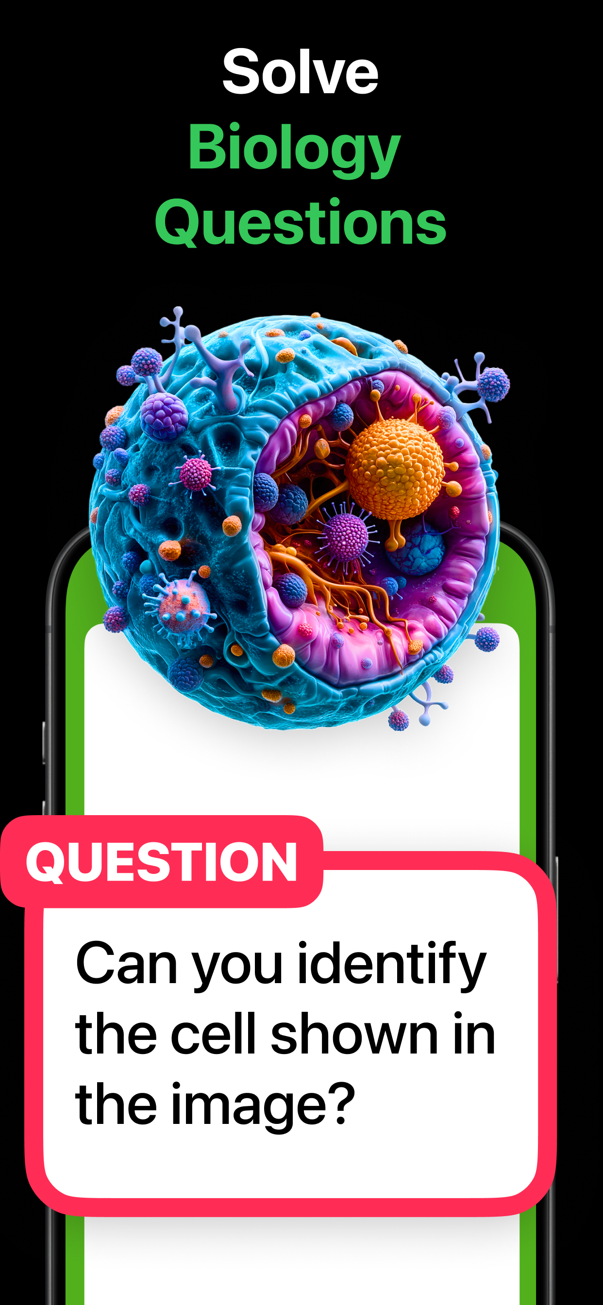 Biology AI - Answers, Solver