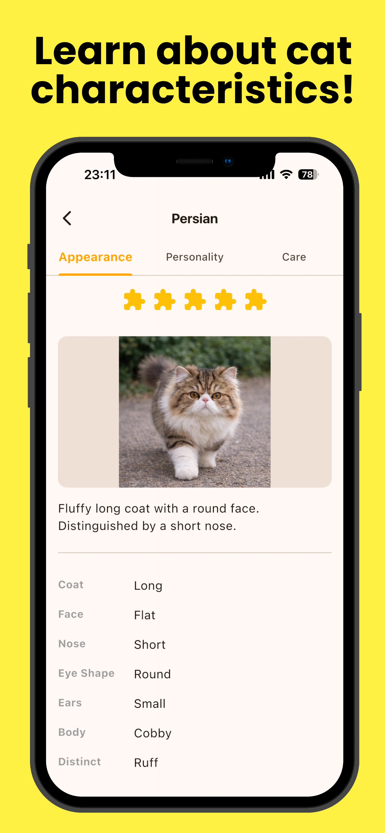 Cat Expert Academy screenshot 4