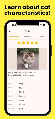 Cat Expert Academy Screenshot 4 of 5