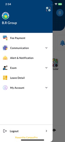 B.R Group Screenshot 5 of 6