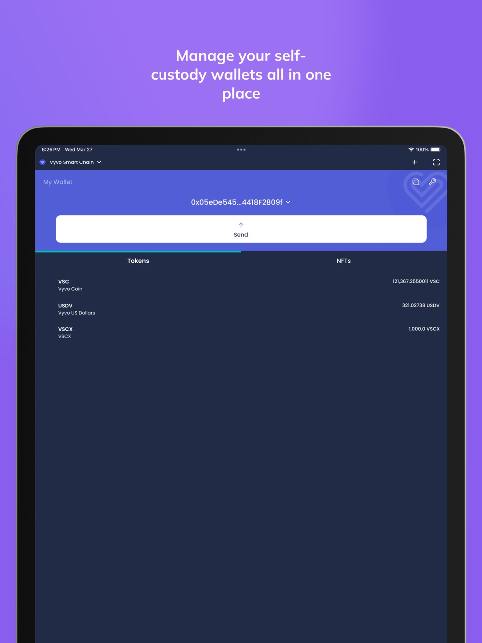 iPad screenshot