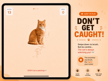 Cat Brush Jjaemu Challenge iPad screenshot