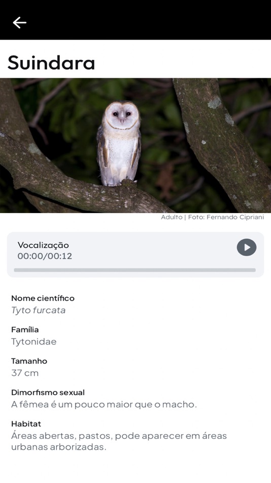 #5. Guia Aves da Região Bragantina (iOS) 由: biosphera.org