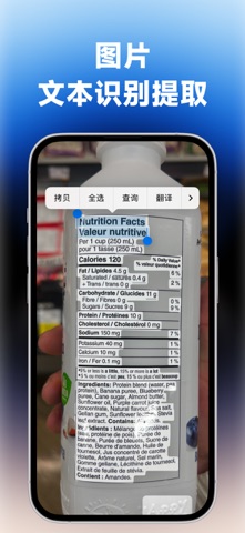 PicChat-专业AI图片翻译实景回填，支持50+语言互译 screenshot