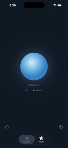 Checkpoint - Mindful Habits Screenshot 2 of 3
