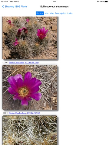 Northeast Mexico Wildflowers iPad screenshot