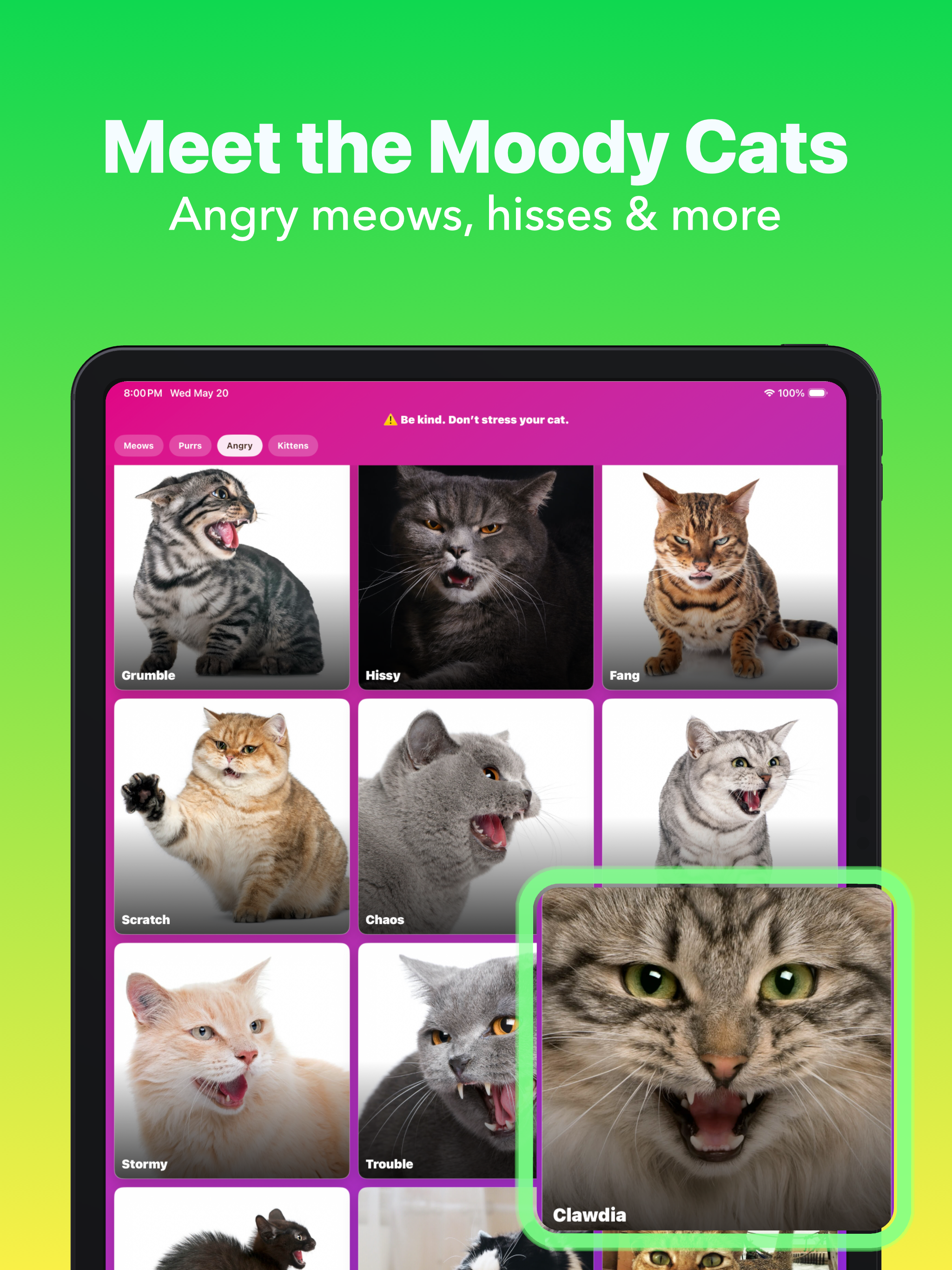 Cat Sounds: Meow Soundboard screenshot 12