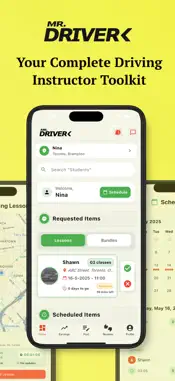 Mr Driver Instructor screenshot 1
