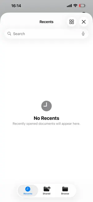MP3Native screenshot 1