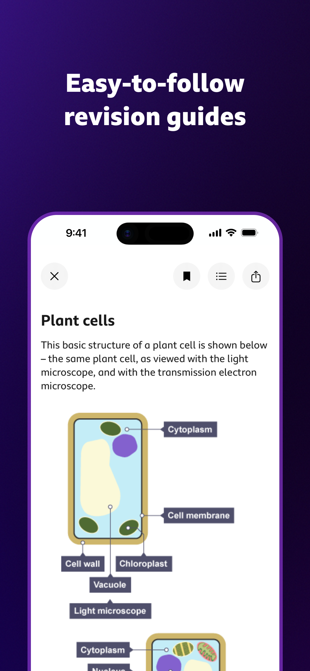 BBC Bitesize - Exam Revision screenshot 3