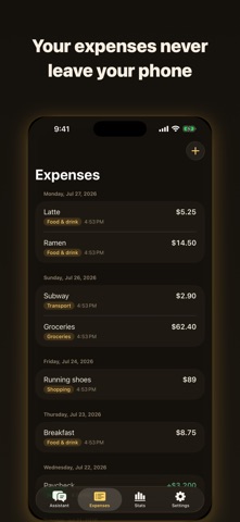 Hooji - Voice Expense Tracker Screenshot 3 of 3