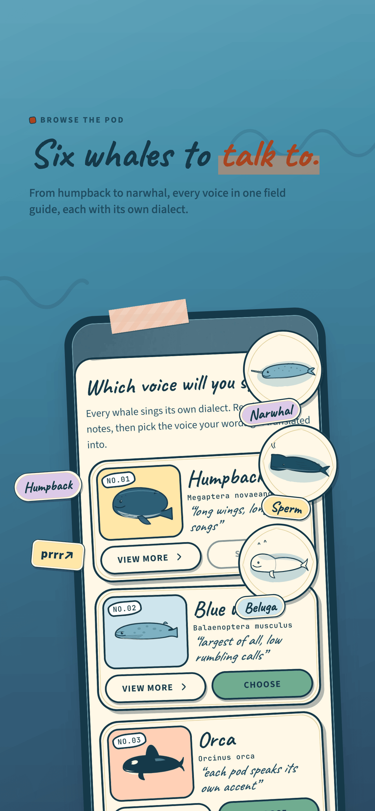 WhaleSay: Whale Translator screenshot 3