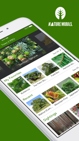 Trees PRO - Field Guide screenshot