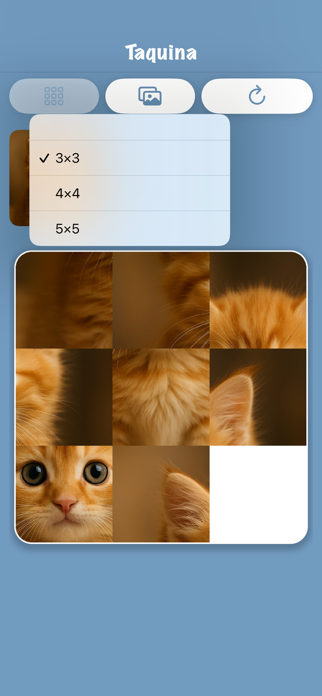 Taquina Screenshot 3 of 5
