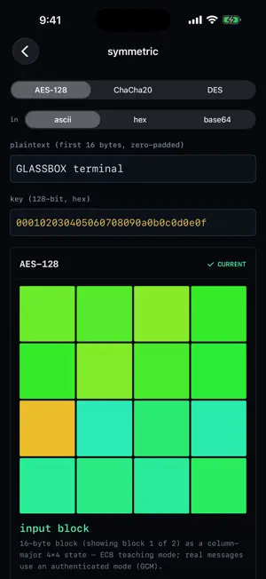GlassBox Dev screenshot 3