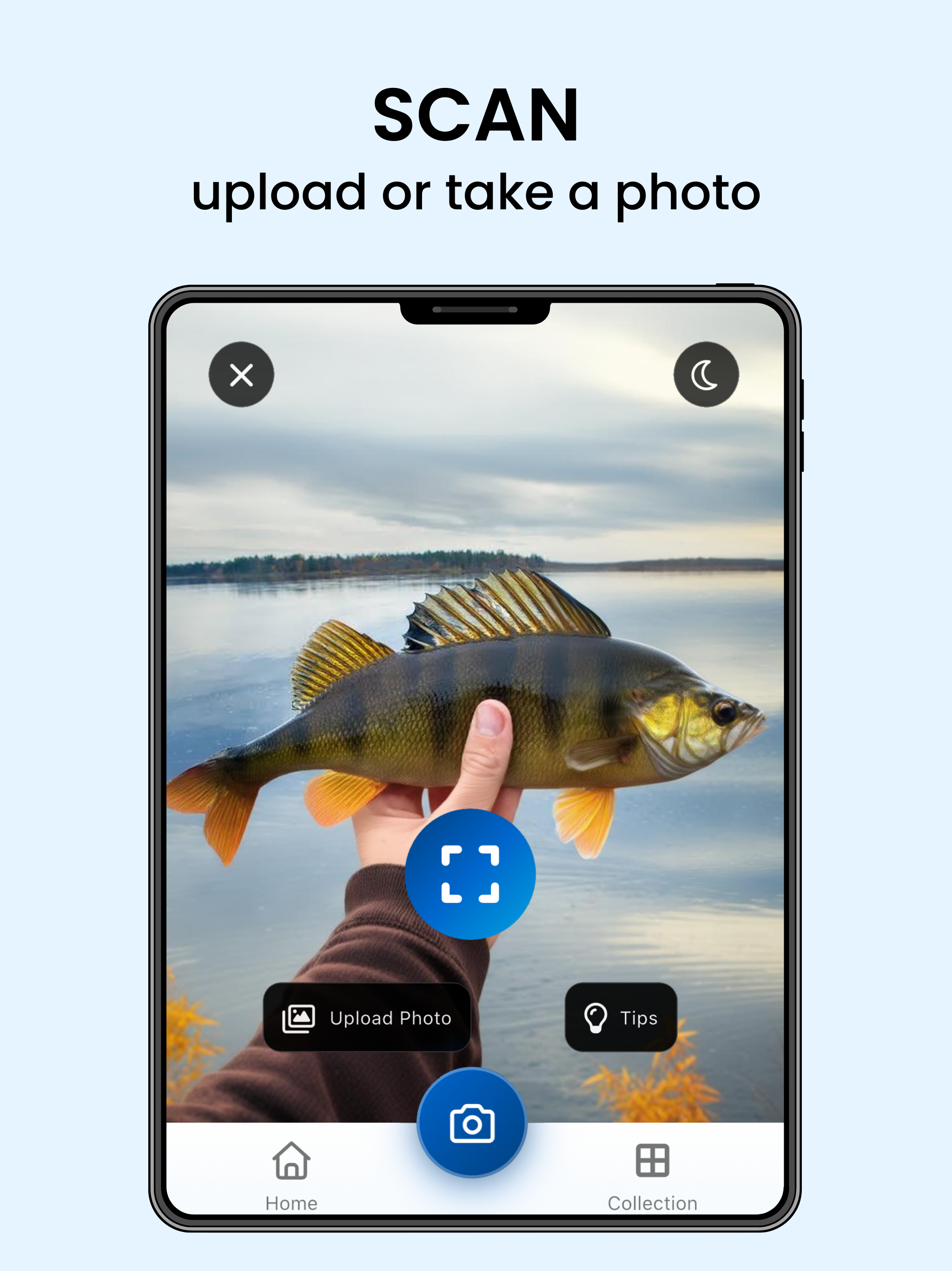 AI Fish Identifier & Scanner screenshot 6