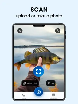 AI Fish Identifier & Scanner screenshot 6