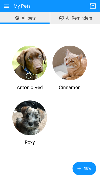 Amber Leaf Animal Hospital Screenshot