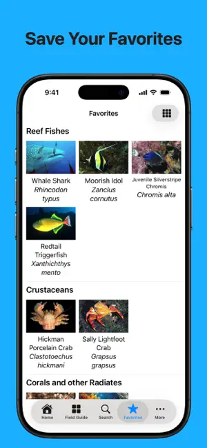 Galápagos Marine Life screenshot 4
