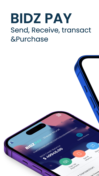 BIDZ PAY E-STORE iPhone screenshot 1 - Business app