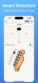 Electric Guitar Tuner ™ screenshot