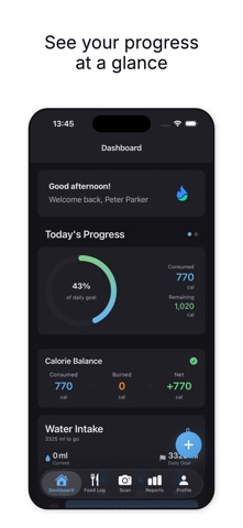 Calorify：AI卡路里计数器 screenshot