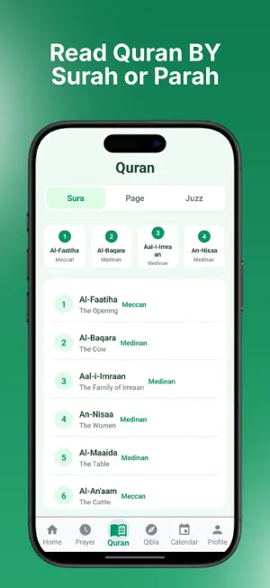 Muslims of Ireland screenshot 1