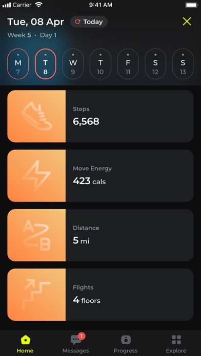 MesoCycle Screenshot