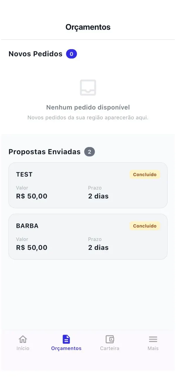 Screenshot #2 pour AppServiço Profissionais