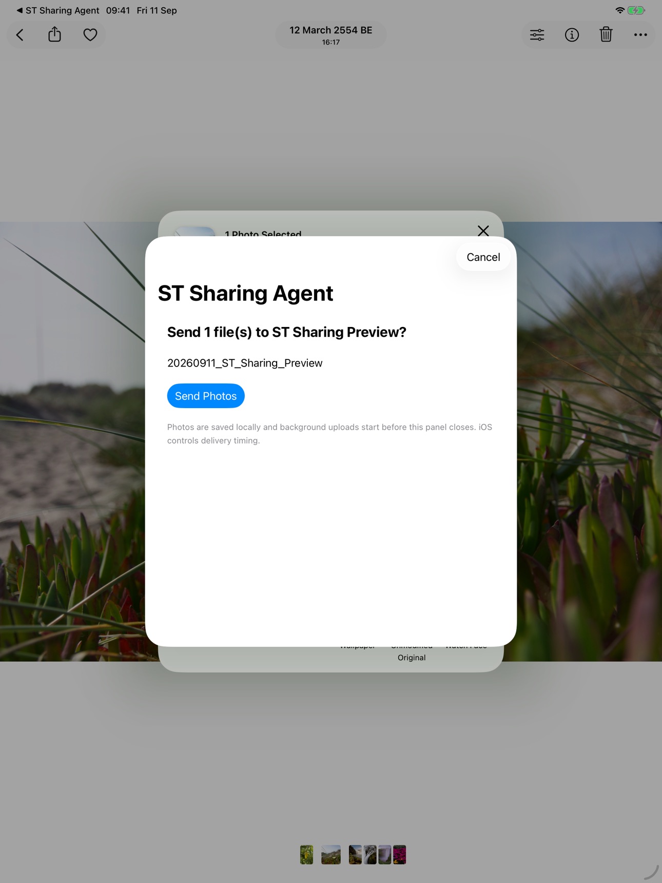 Screenshot 6 of ST Sharing Agent