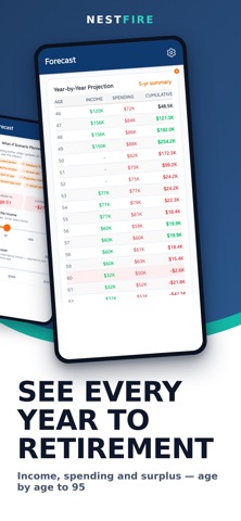 NestFIRE: FIRE & Net Worth Screenshot 2 of 5