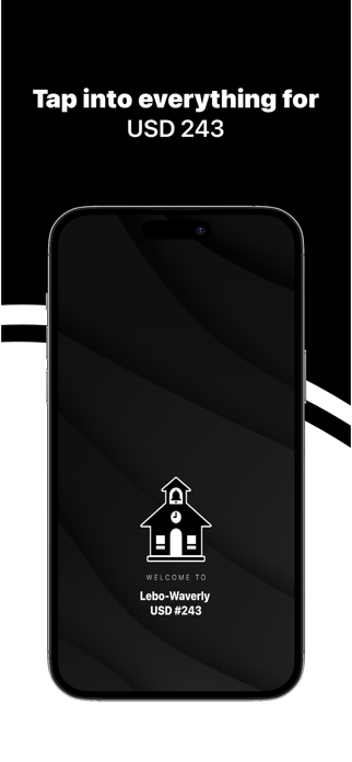 USD 243 Screenshot 1 of 4