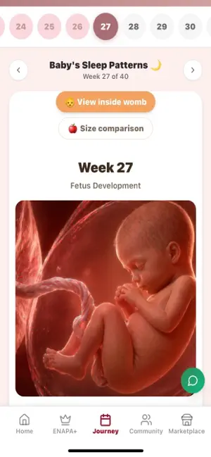 Enapa screenshot 1