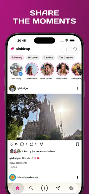 Pinkleap — Bluesky & Mastodon screenshot 1