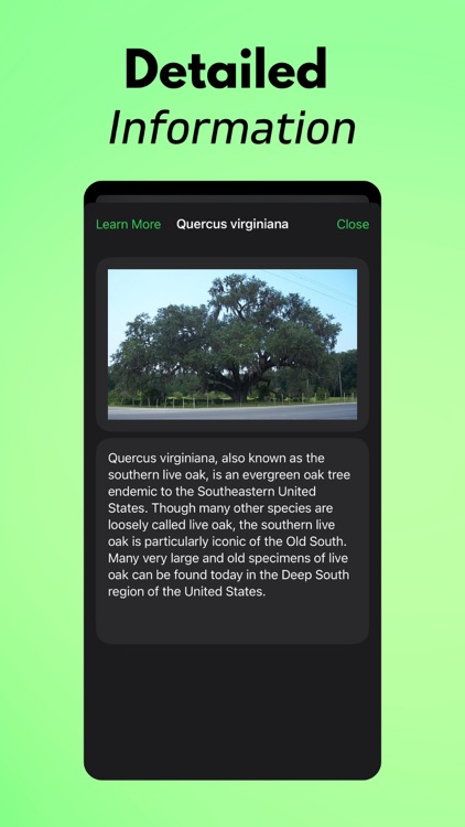 Tree Identifier AI: TreeIQ screenshot-4