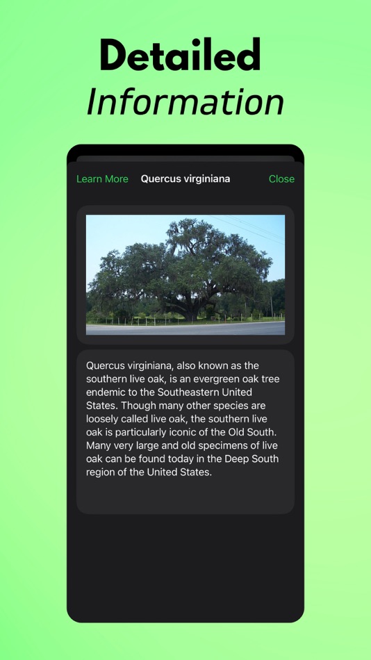 #5. Tree Identifier AI: TreeIQ (iOS) Przez: Arda Sen