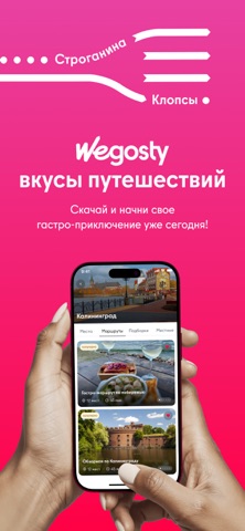 WEGOSTY screenshot
