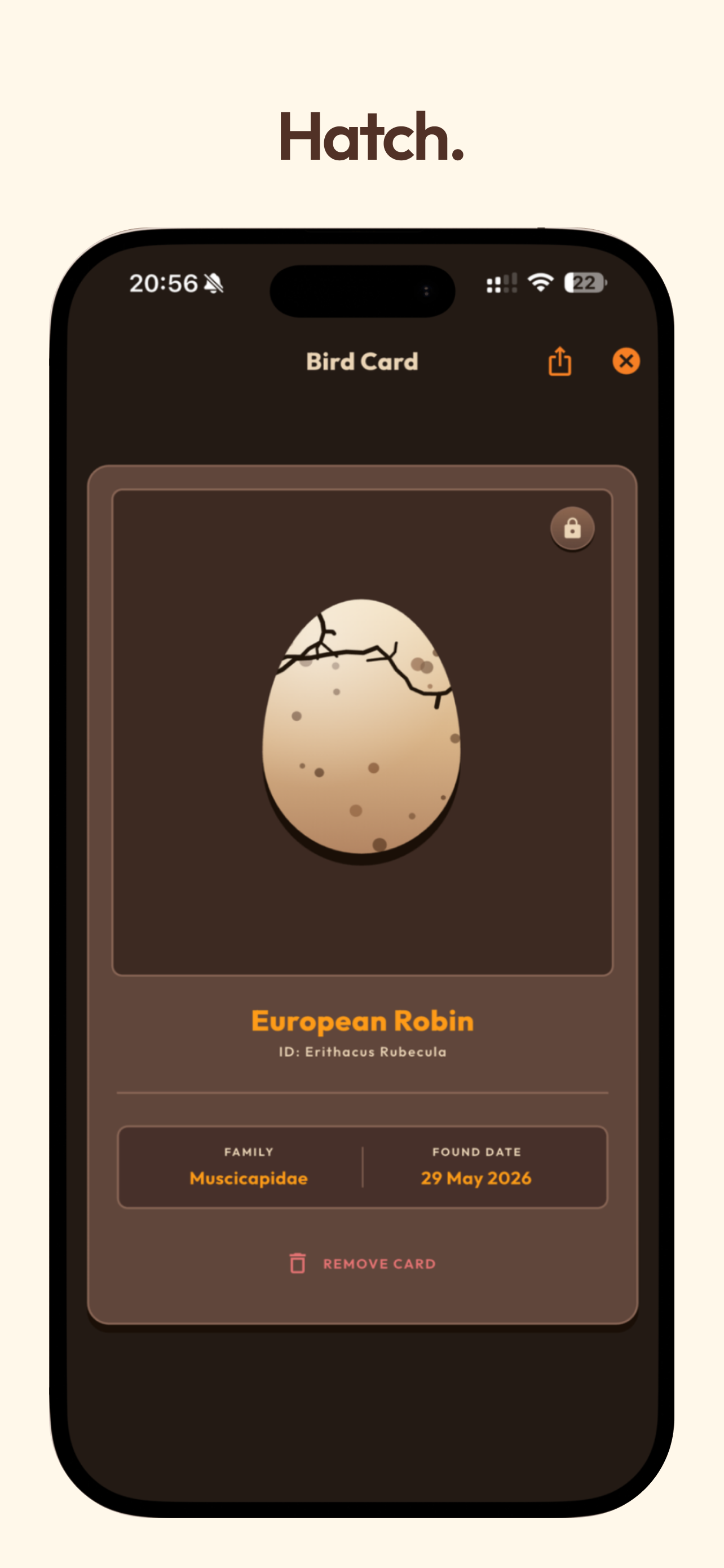 Birder - Bird Identifier Game screenshot 4