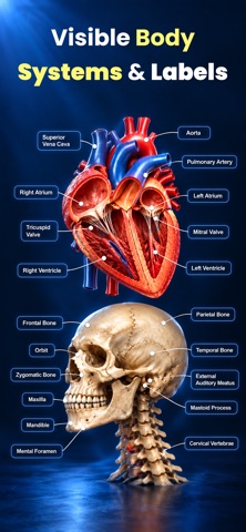 Complete Anatomy Learning 3D Screenshot 4 of 4