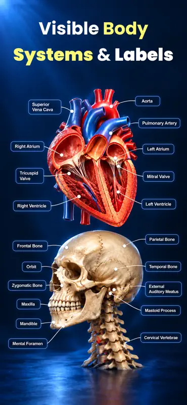 Complete Anatomy Learning 3D screenshot 4 of 4