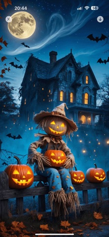 Wallpapers for Phone - WallMax Screenshot 5 of 6